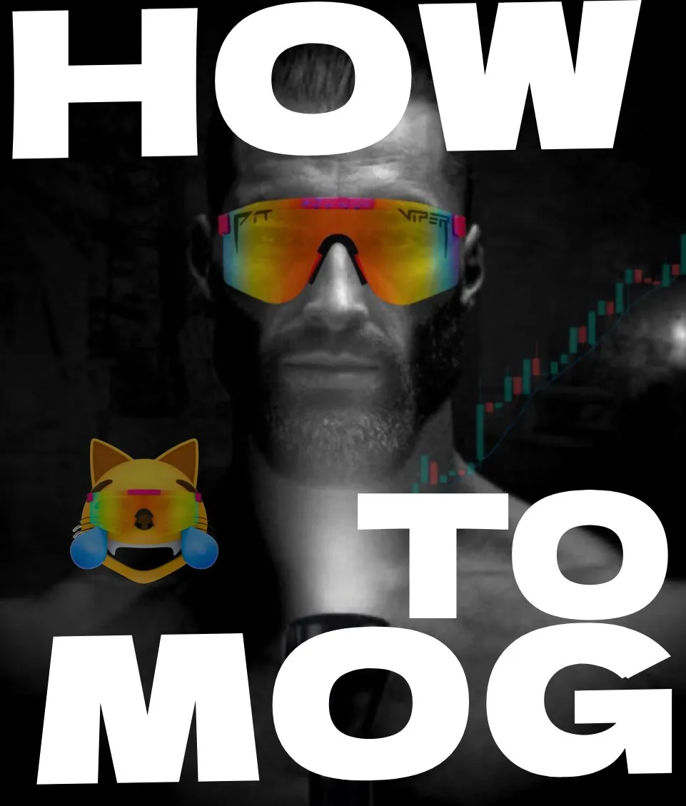 HOW TO MOG? 3 STEPS