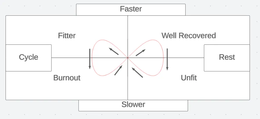 Mastering the Art of Polarity Management in Programmes