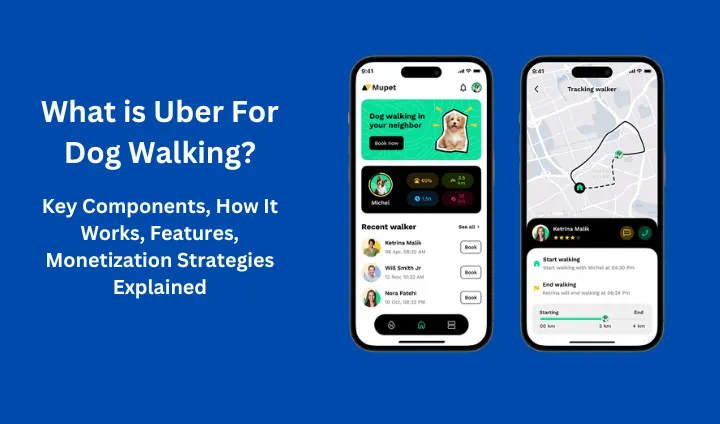 What is Uber For Dog Walking?