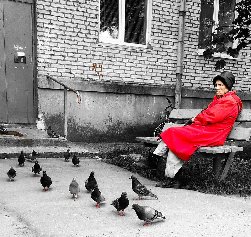 old woman sitting alone on a bench and watching the pigeons at her feet