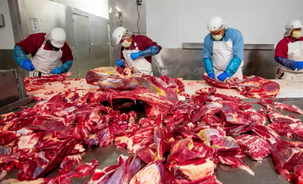 Report: The Meat Industry Receives $38 Billion in Tax Payer Subsidies Every Year; Despite…