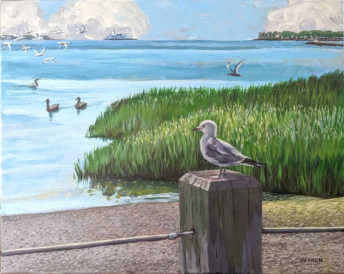 A seagull is perched on a post at the water’s edge. Behind the seagull is a thick patch of beach grass. On the horizon a ferry boat can be seen in the distance.