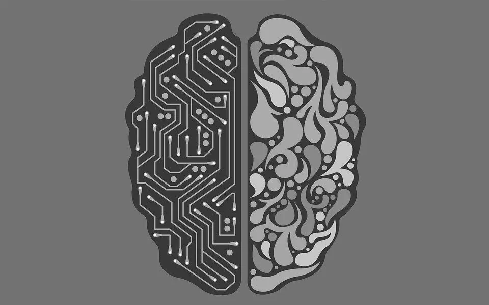 AI vs Brain