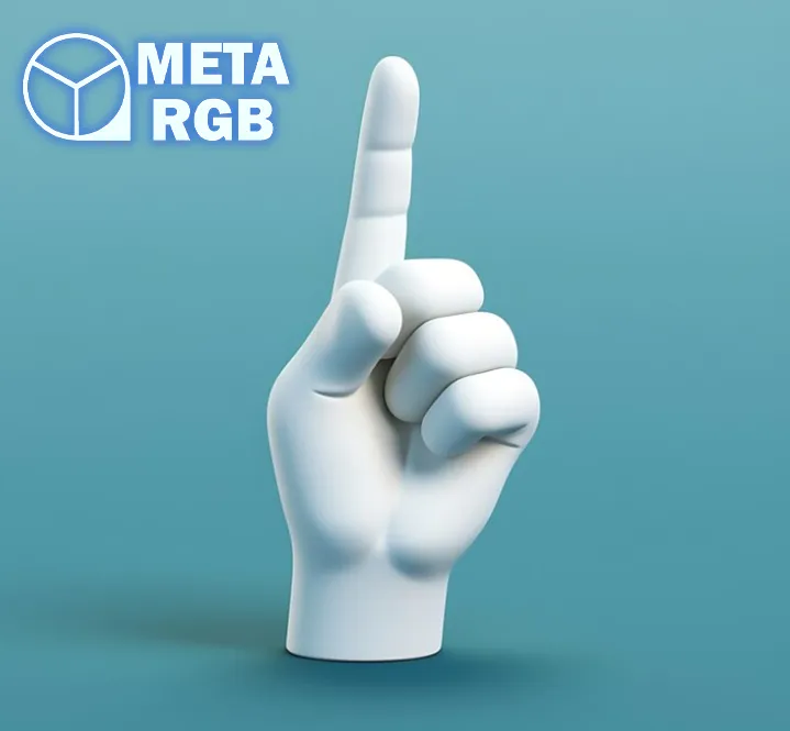 What Is the Role of the Metaverse in Elections? | META RGB