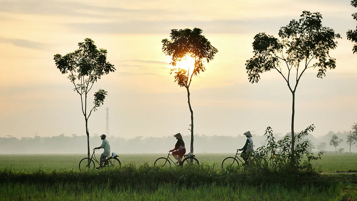 Local Indonesians driving bicycles during late evening in Bali