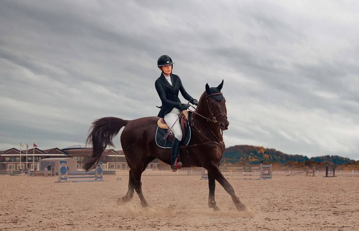 Unlock Your Potential with the Best Horsemanship Courses of 2024