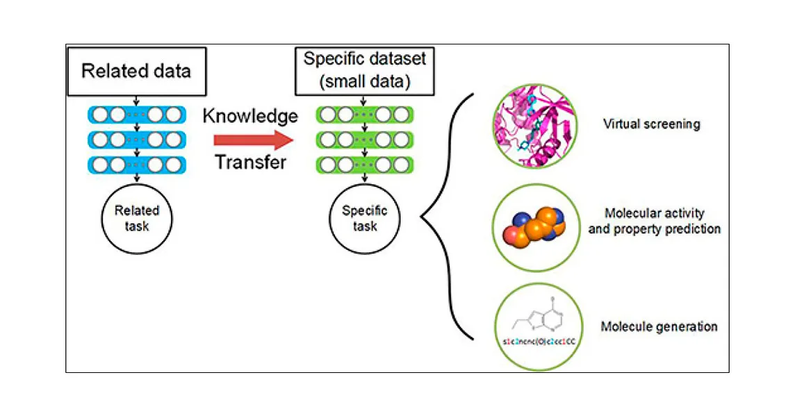 Snowflake in drug discovery: Fine tuned ChemBerta for toxicity prediction