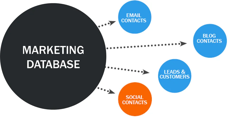 Steps Included in Database Marketing