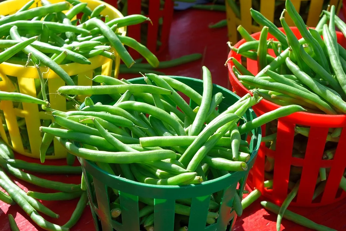 Green Beans Deserve a Second Chance