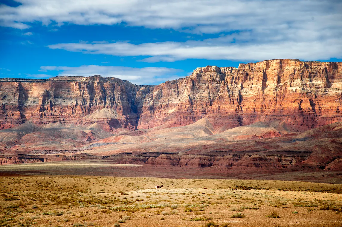 A solitary paint pony grazes below the constant watch of the Vermillion Cliffs. Photo by the author.