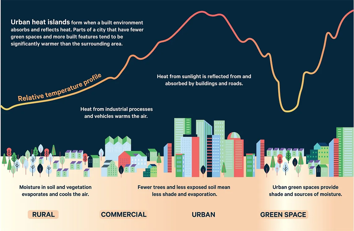 Urban Cities and Climate Extremes: Building Resilience for a Changing World