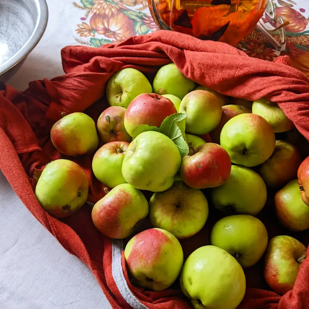 Forage, Scrump, and Glean Your Way to Food Independence