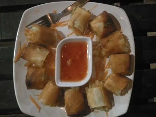 Delicious Homemade Spring Rolls