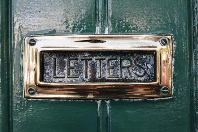 A brass letterbox screwed to a door. The word LETTERS is printed on the flap.