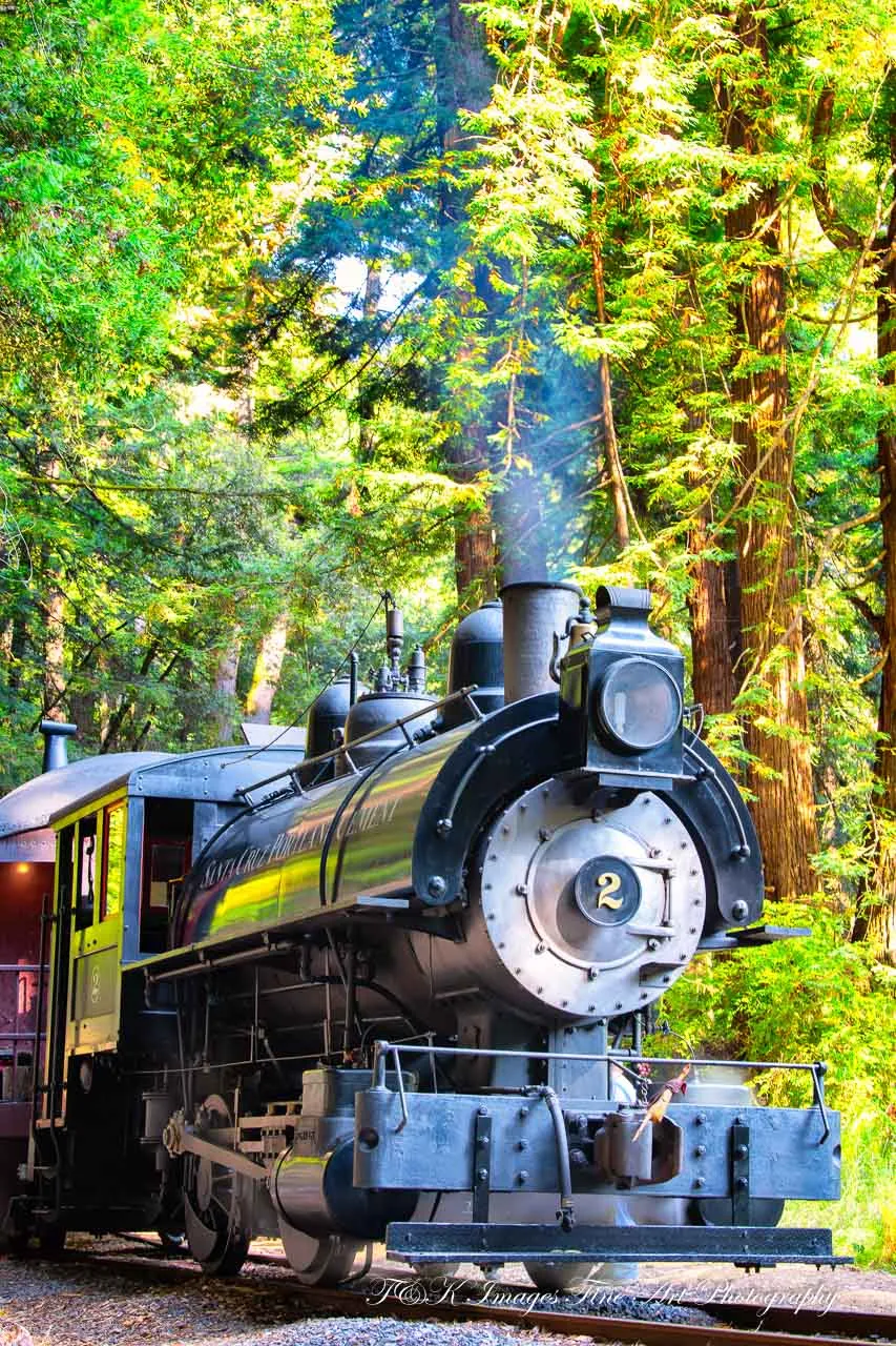 The Skunk Train