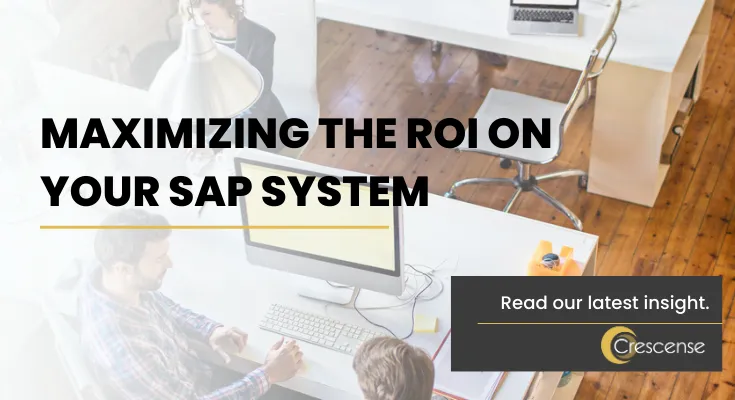 Maximizing the ROI on Your SAP System