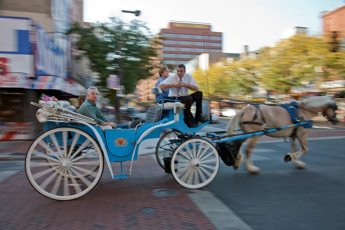 horse and carriage