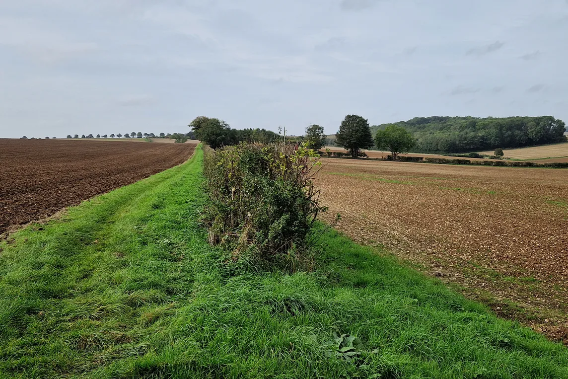 The Guardian of the Farm and Other Adventures in Lincolnshire