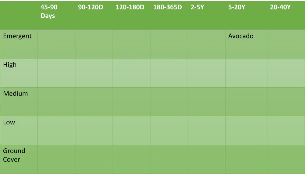 Syntropic Agriculture: Putting It All Together a.k.a. A Planting Guide