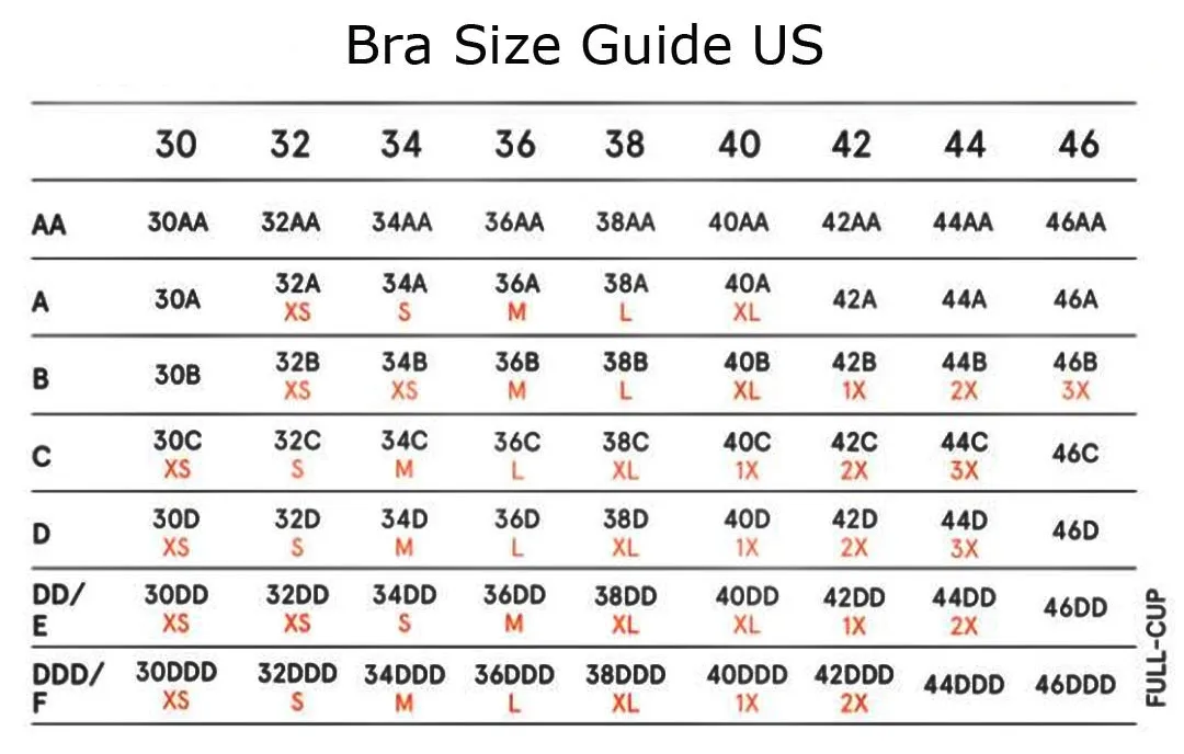 What is the Order of Bra Cup Sizes?