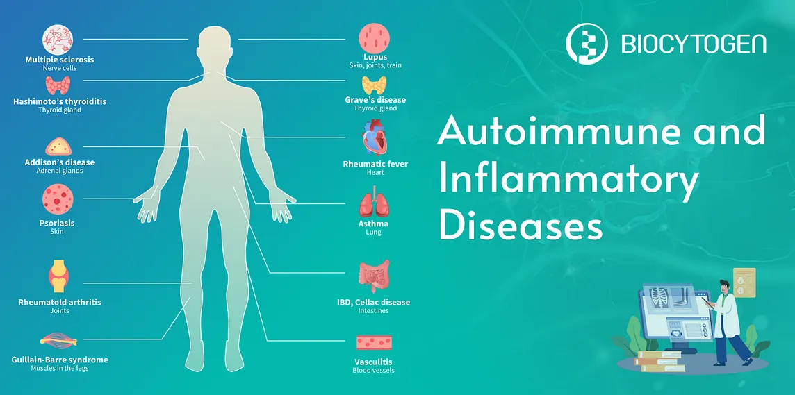 autoimmune and inflammatory diseases