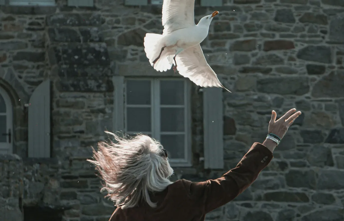 Woman letting go of birds
