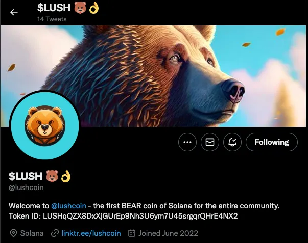 Lushcoin: A Bear Necessity for Cryptocurrency and the Solana Ecosystem