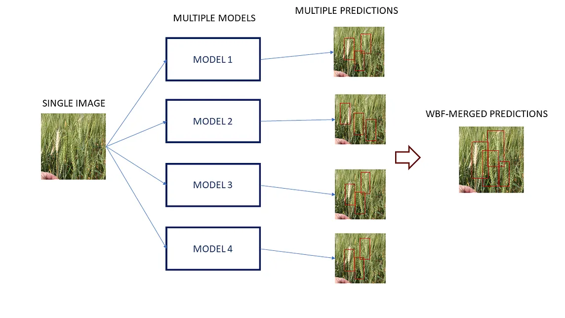 Weighted Boxes Fusion — A detailed view