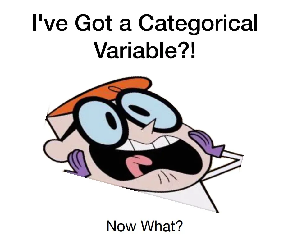 Data Preprocessing — Handling Categorical Variables