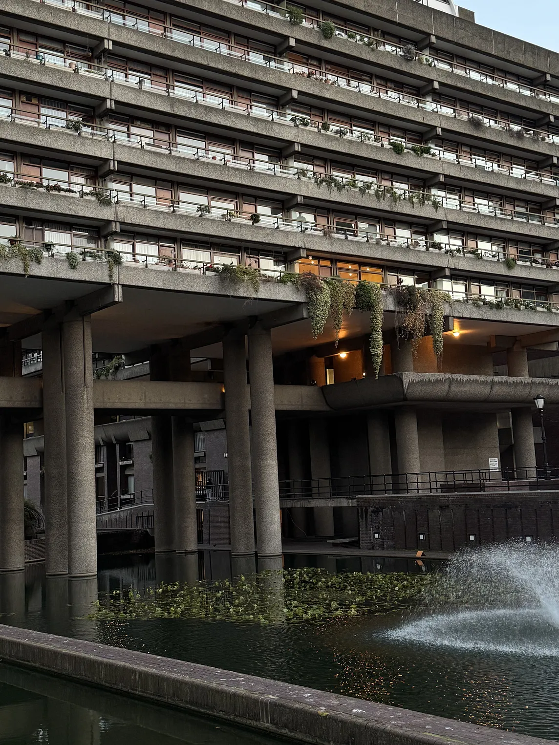 Concrete and Green: The Unexpected Synergy of Brutalism and Wellness