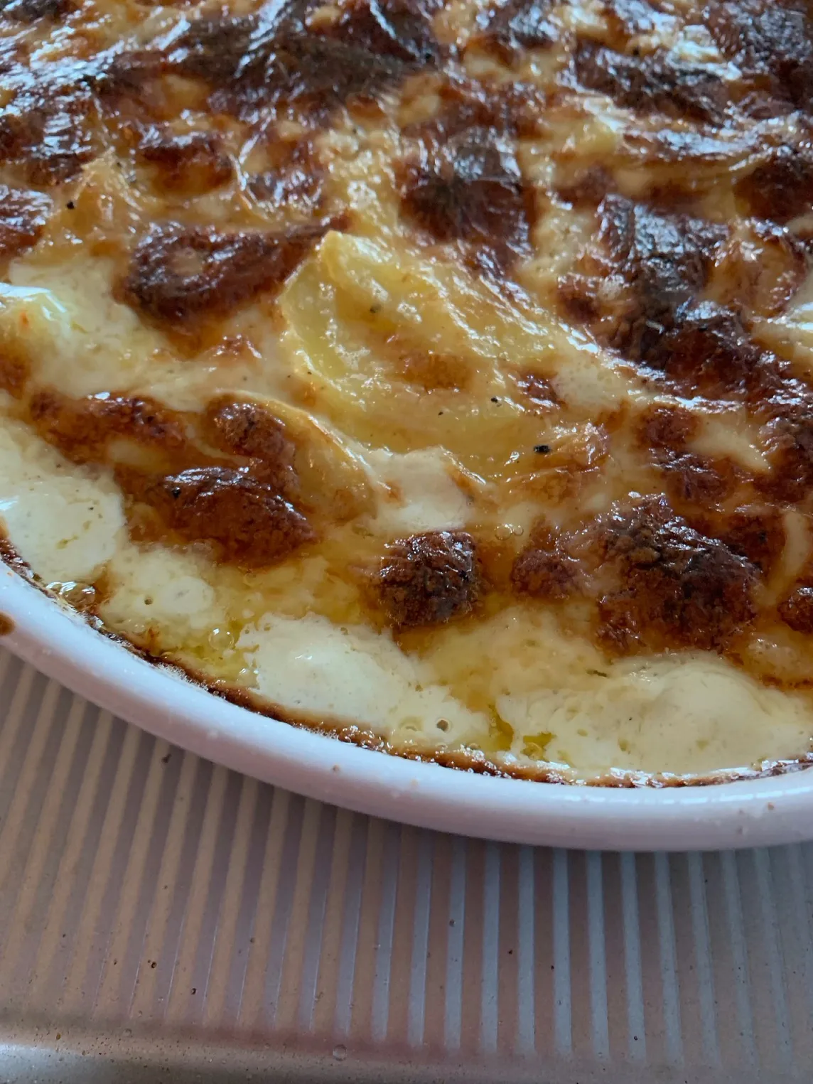 Gratin Dauphinois bubbling, brown, just out of the oven,