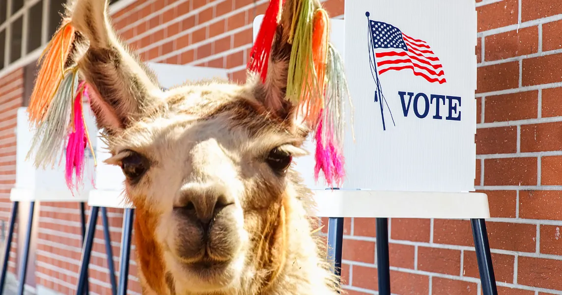 Head of a llama with colorfully decorated ears in front of voting signs