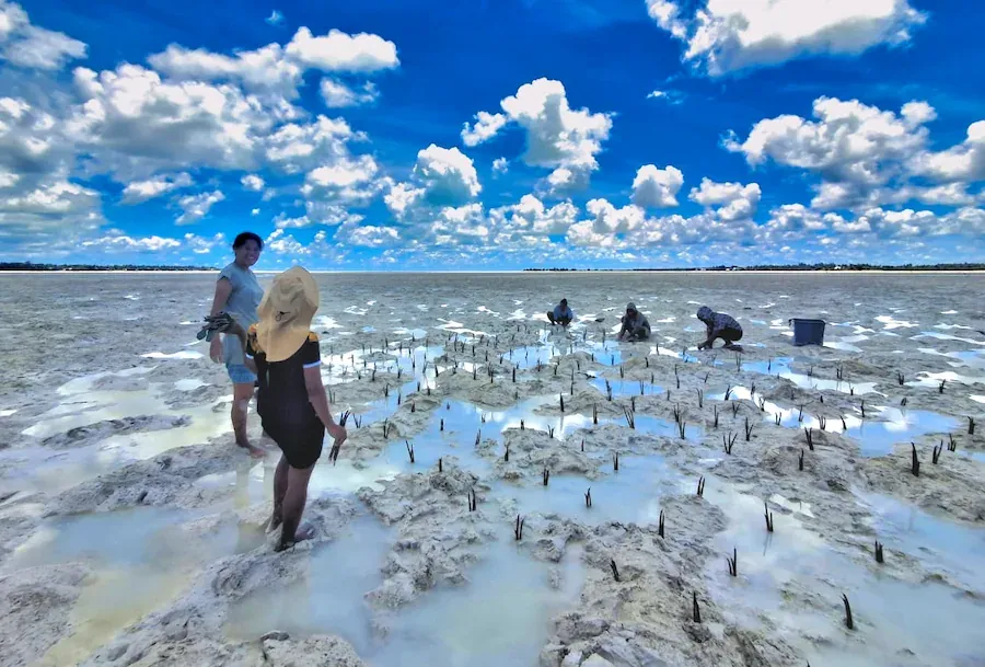 How Kiribati’s Youth Are Fighting Rising Seas — And Winning