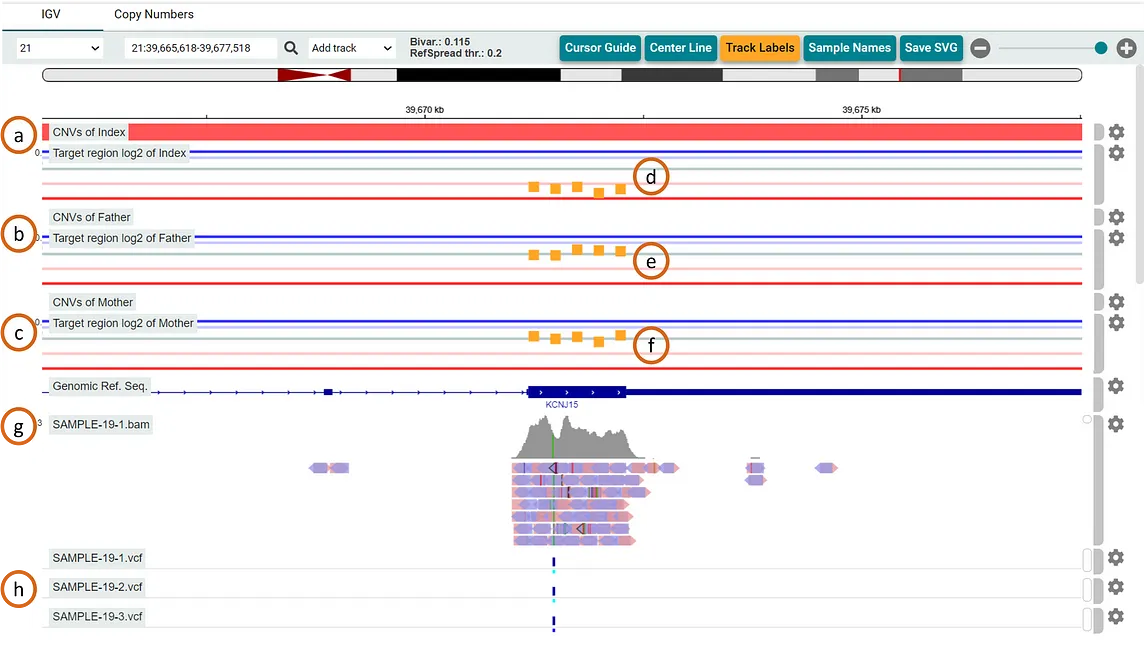 The varvis® advantage in CNV analysis