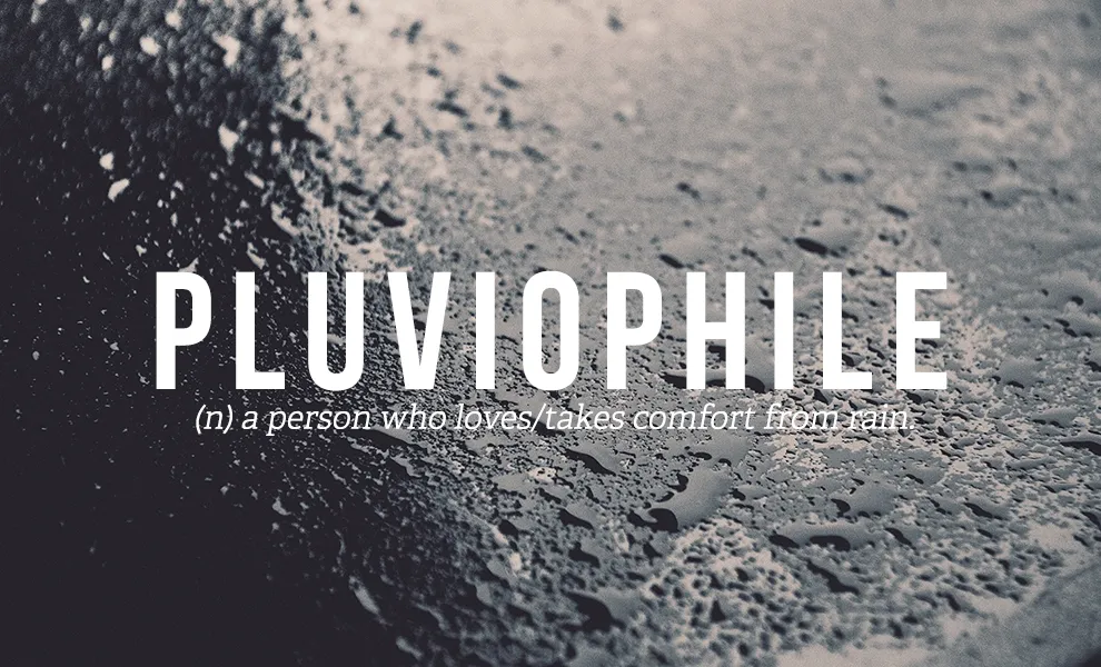 Pluviophiles: The Rain Lovers Who Find Solace in Downpours