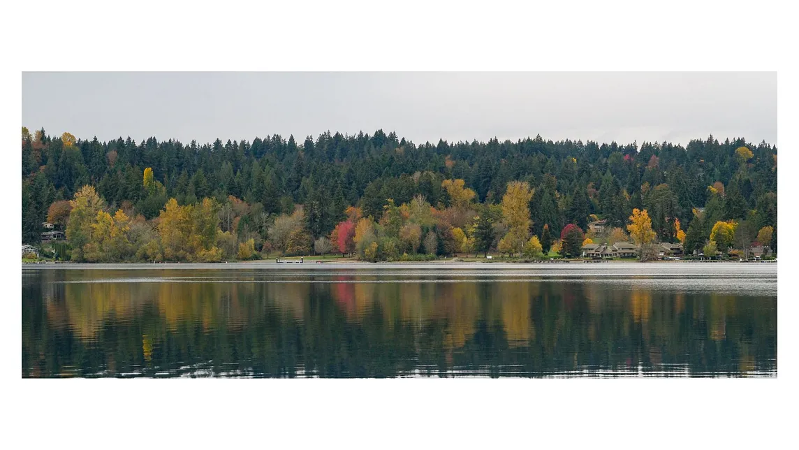 The image captures a calm lake with a clear reflection of the trees along the shore. The dense forested area creates a tranquil atmosphere.