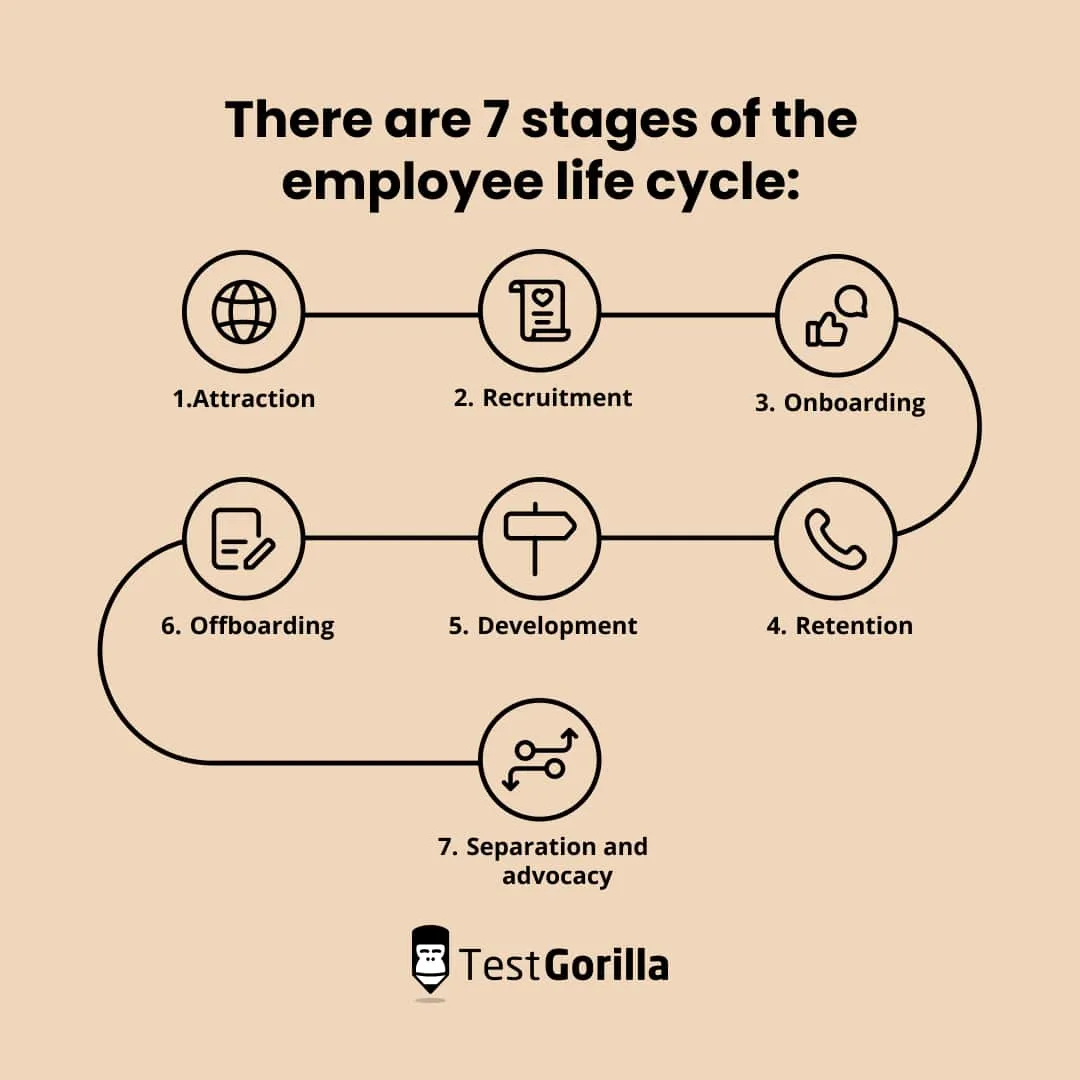 Exploring the Stages of the Employee Lifecycle