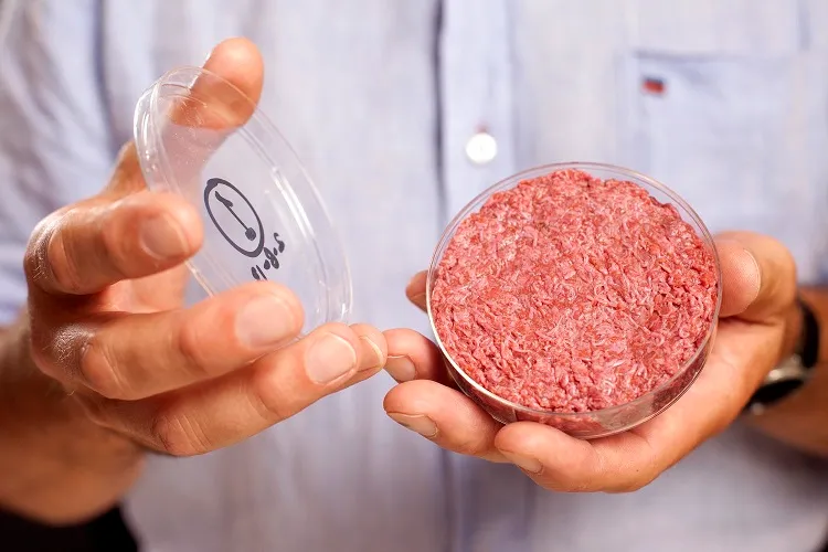 The Brain and Cultured Meat — Consumer Adoption and Scientific Implications