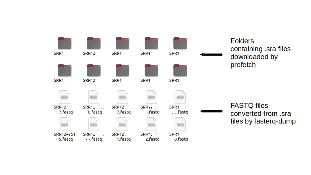 get FASTQ files from NCBI