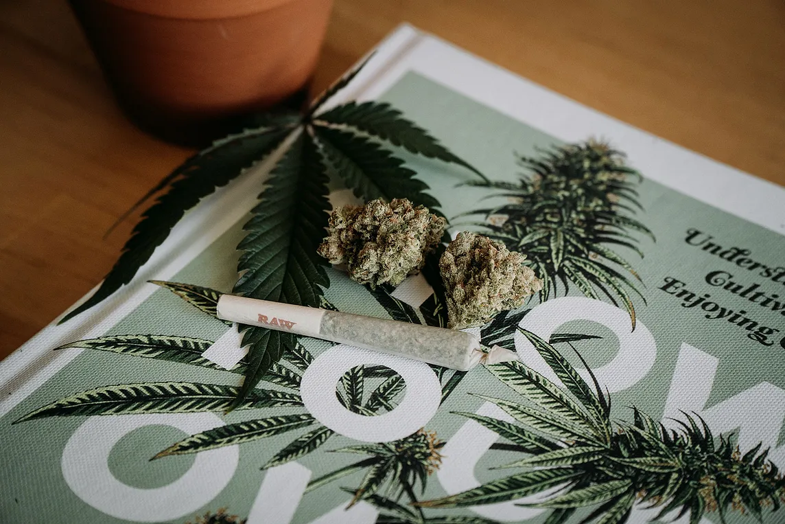 Cannabis is pictured on top of a print ad for the flower.