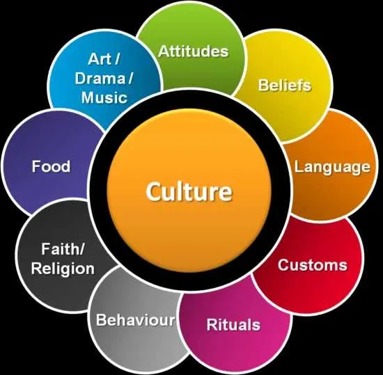 Does Culture Matter ?