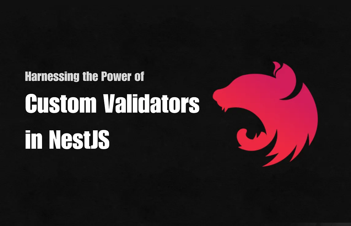 Custom Validators in NestJS
