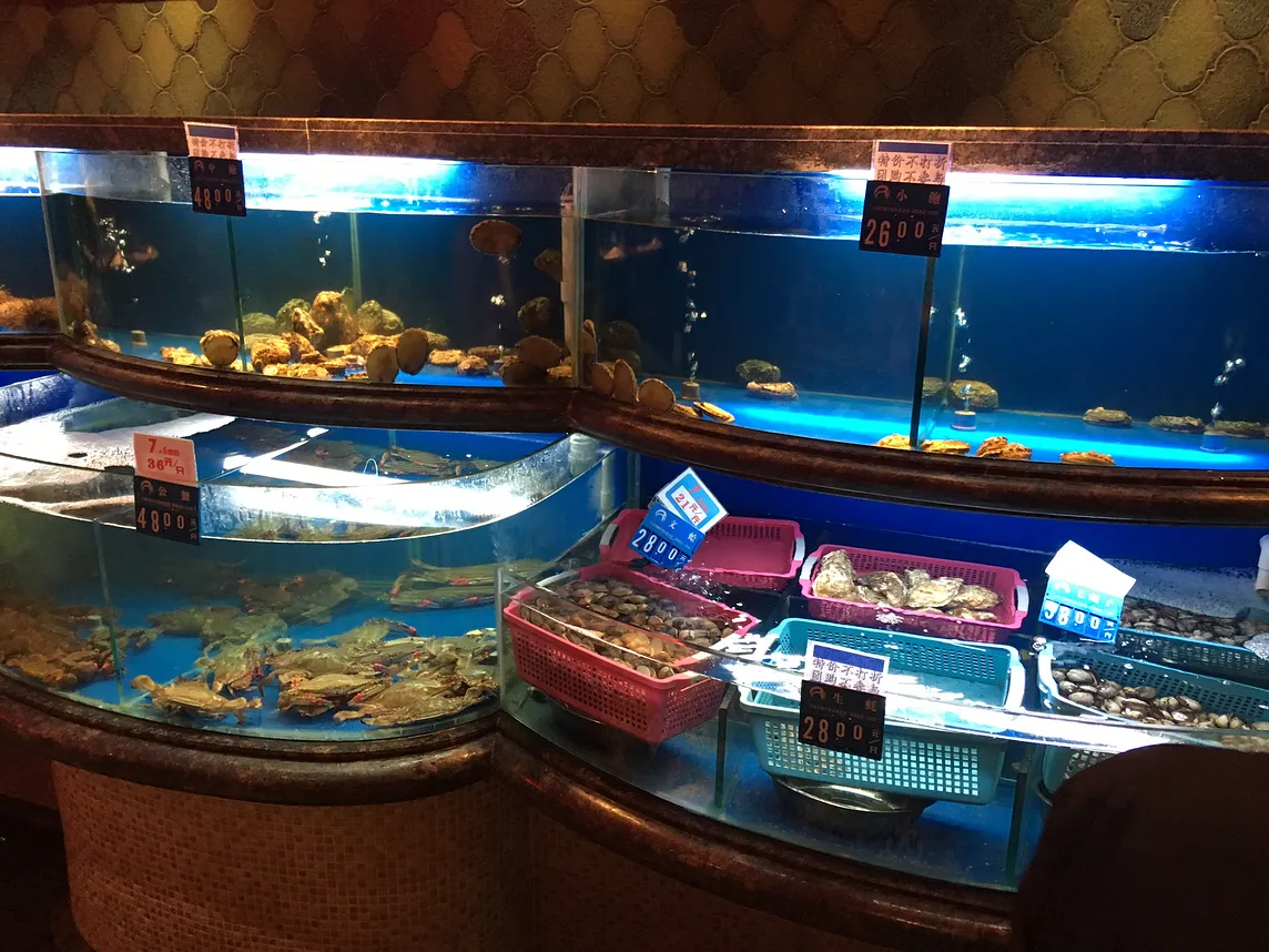 Photo by Author — fresh fish and crabs at the restaurant — Dalian, China