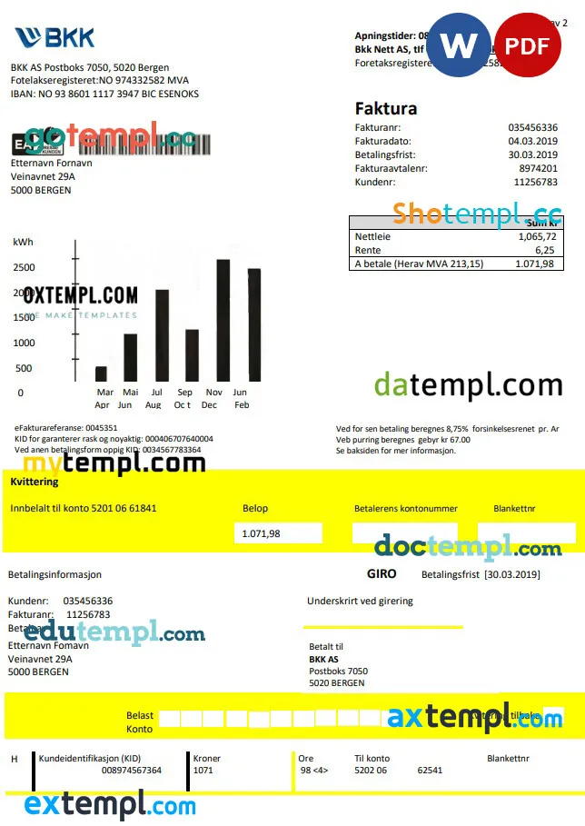 Norway BKK electricity utility bill template in Word and PDF format, good for address prove