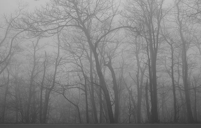 I Cannot Summon That State Of Mind: In And Out Of That Depressive “Fog”