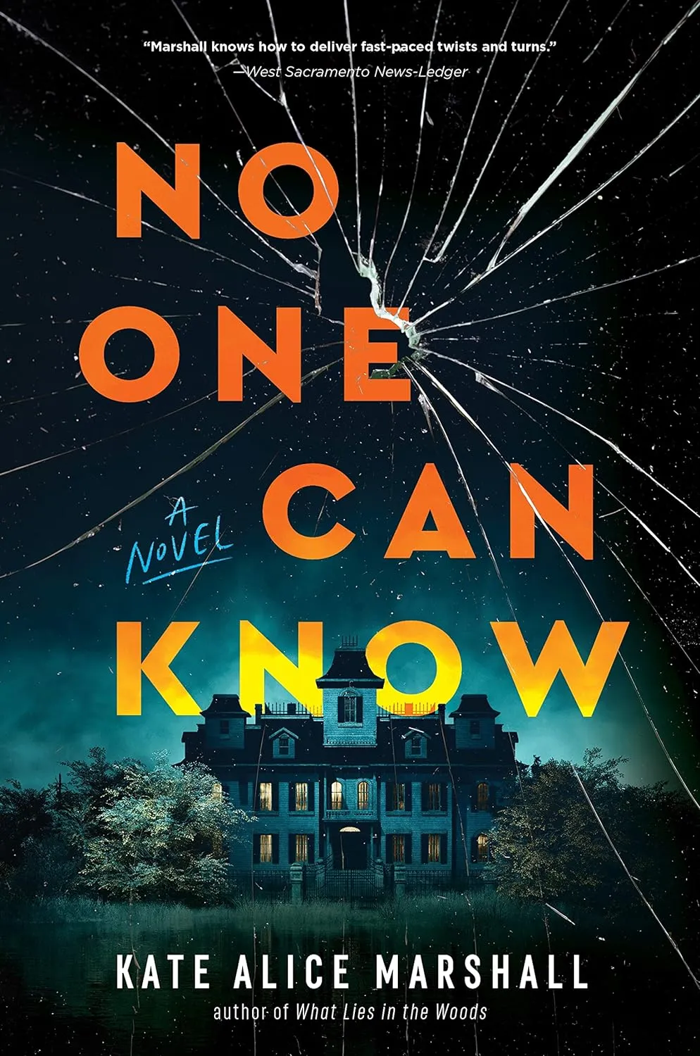 Murder Mysteries Novels -No One Can Know Review