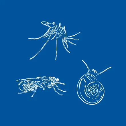 Evaluating the Impact of Climate Change on the Spread of Vector-Borne Diseases: A Global Public…