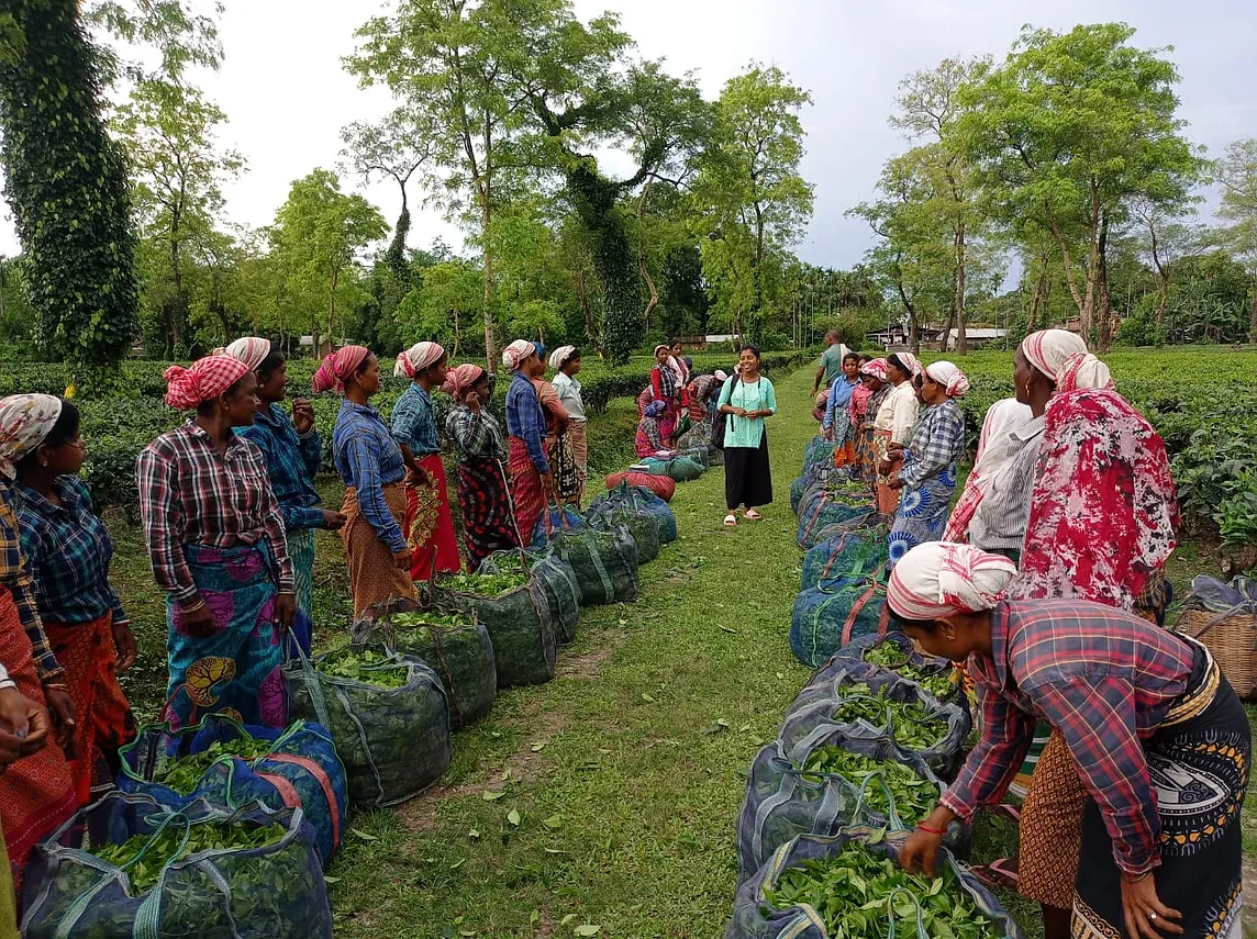 A group of women tea garden workers stand in the tea garden with large bags of tea leaves, while a USAID-supported community mobilizer speaks to them.