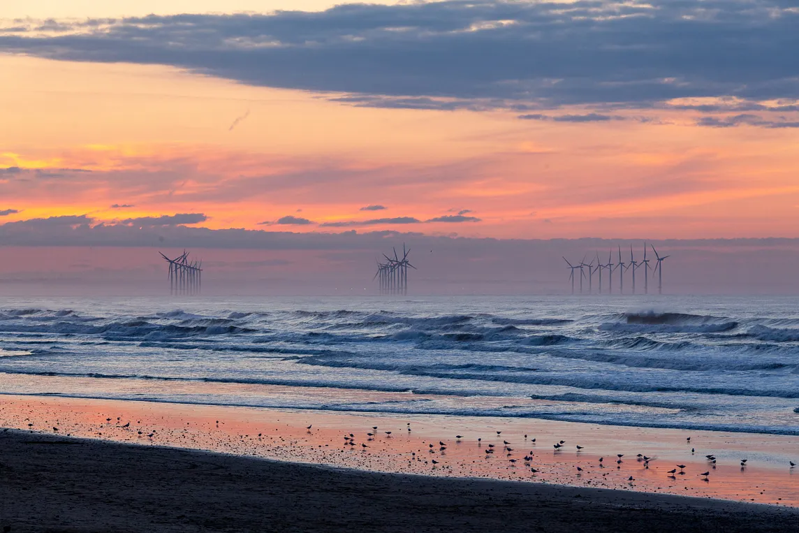 Dead Whales, Wind Farms and the Hidden Data…