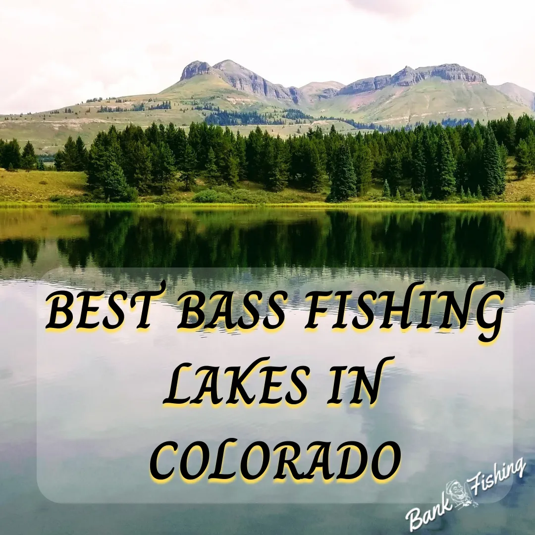 5 Best Bass Fishing Lakes in Colorado